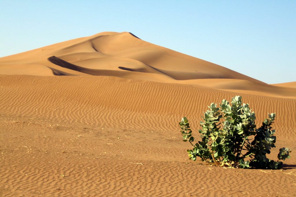 Maroc Desert