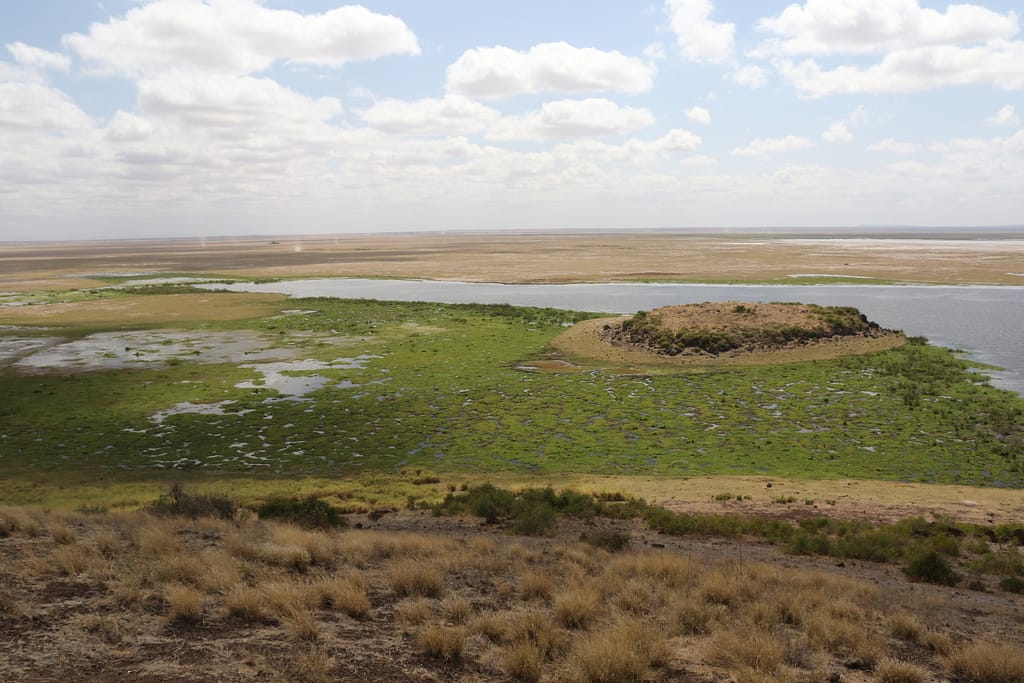 Parco Nazionale di Amboseli in Kenya
