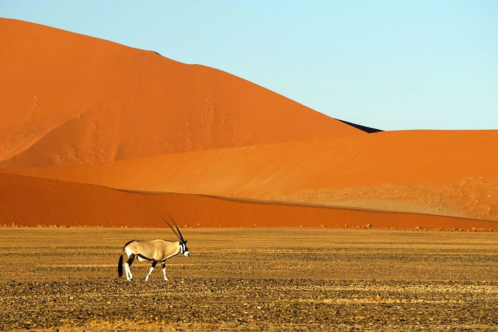 Sesriem ed il Namib Desert in Namibia