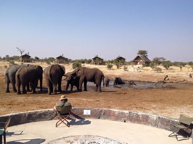 da Cape Town alle Cascate Vittoria
elefanti si abbeverano alla pozza all'Elephant Sands in Botswana.
Elephants drink from the waterhole at Elephant Sands in Botswana.