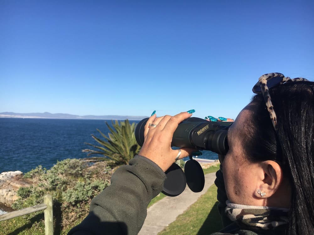 Binocoli Konus per birdwatching e safari
Whale Watching a Hermanus