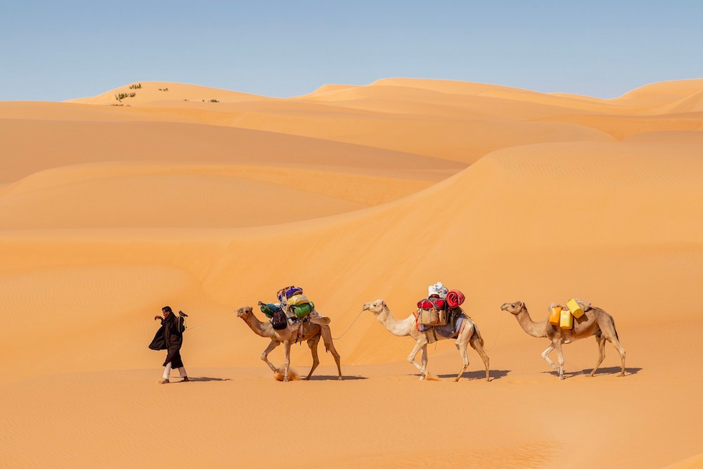 Trans-Sahariana in viaggio nel deserto con i cammelli tra Mauritania e Senegal
Trans-Sahara Expedition: Journeying through the Desert with Camels between Mauritania and Senegal.