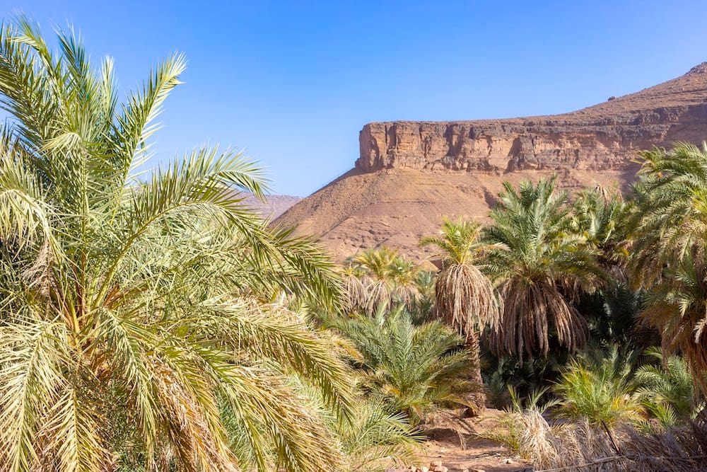 viaggio nel deserto e nelle oasi della mauritania
Journey through the Desert and Oases of Mauritania
